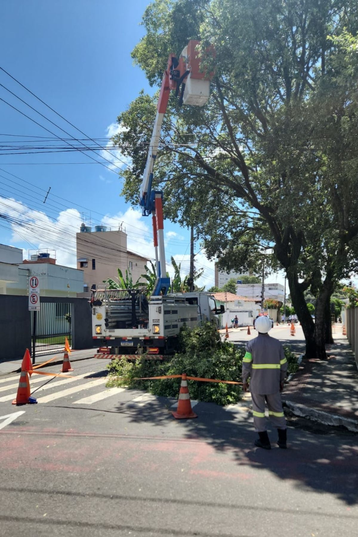 EDP realiza mutirão de poda que beneficia mais de 7.500 clientes em Aracruz