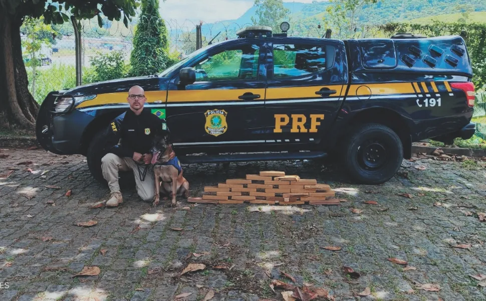 ES registra apreensão de quase 10 toneladas de drogas em um ano  