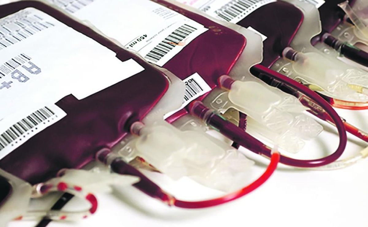Estoques baixos: doadores de sangue são convocados para comparecer ao Hemoes