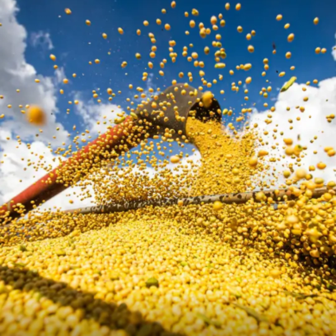 ES tem 10º maior valor da produção agrícola do país